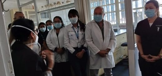 Un total de 208 mil pruebas se realizaron en los laboratorios de la red de salud